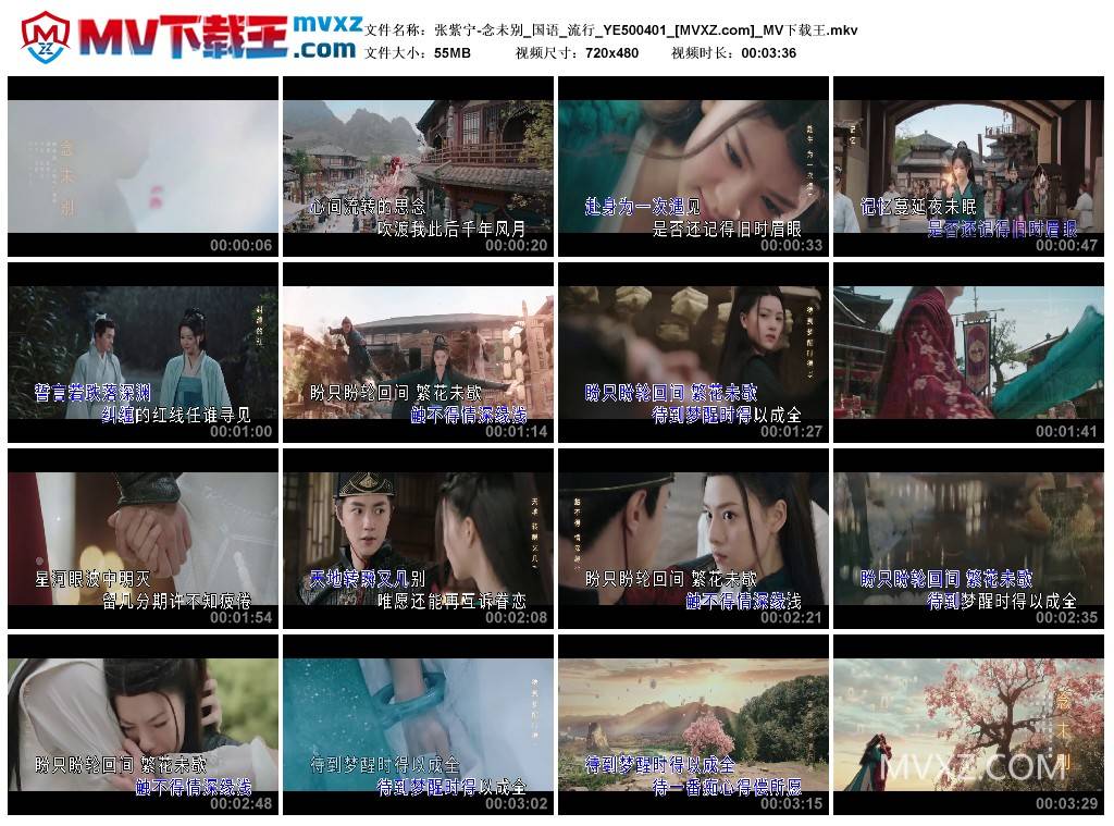 张紫宁-念未别_国语_流行_YE500401